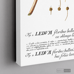 Cargar imagen en el visor de la galería, Cuadro Botánico Floribus Bullatis