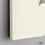 Cargar imagen en el visor de la galería, Cuadro Aves Perico Australiano