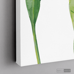 Cargar imagen en el visor de la galería, Cuadro Botánico Musa Paradisiaca