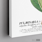 Cargar imagen en el visor de la galería, Cuadro Botánico Pulvonaria