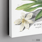 Cargar imagen en el visor de la galería, Cuadro Botánico Yucca
