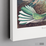 Cargar imagen en el visor de la galería, Cuadro Aves Colibríes