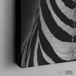 Cargar imagen en el visor de la galería, Cuadro Animales Cebra B/N