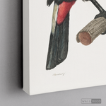 Cargar imagen en el visor de la galería, Cuadro Aves Tucan Colombiano 3