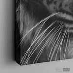 Cargar imagen en el visor de la galería, Cuadro Animales Tigre Blanco B/N