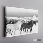 Cargar imagen en el visor de la galería, Cuadro Animales Caballos Boho Horizontal