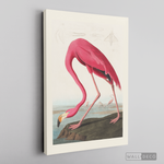 Cargar imagen en el visor de la galería, Cuadro Aves Flamenco Mayor