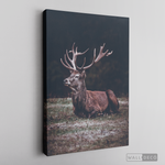 Cargar imagen en el visor de la galería, Cuadro Animales Ciervo Rojo (A)