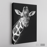 Cargar imagen en el visor de la galería, Cuadro Animales Jirafa B/N