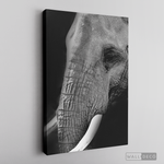 Cargar imagen en el visor de la galería, Cuadro Animales Elefante B/N