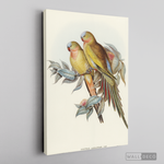 Cargar imagen en el visor de la galería, Cuadro Aves Perico Australiano