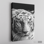 Cargar imagen en el visor de la galería, Cuadro Animales Tigre Blanco B/N