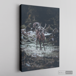 Cargar imagen en el visor de la galería, Cuadro Animales Ciervo Rojo (B)