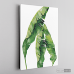 Cargar imagen en el visor de la galería, Cuadro Botánico Musa Paradisiaca