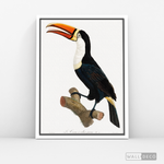 Cargar imagen en el visor de la galería, Cuadro Aves Tucan Colombiano 1