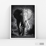 Cargar imagen en el visor de la galería, Cuadro Animales Elefante Real B/N