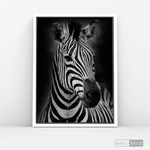 Cargar imagen en el visor de la galería, Cuadro Animales Cebra B/N