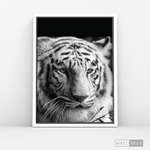 Cargar imagen en el visor de la galería, Cuadro Animales Tigre Blanco B/N