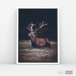 Cargar imagen en el visor de la galería, Cuadro Animales Ciervo Rojo (A)