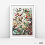 Cargar imagen en el visor de la galería, Cuadro Aves Colibríes