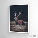 Cargar imagen en el visor de la galería, Cuadro Animales Ciervo Rojo (A)