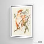 Cargar imagen en el visor de la galería, Cuadro Aves Cacatua Australiana