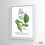 Cargar imagen en el visor de la galería, Cuadro Botánico Pulvonaria