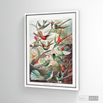 Cargar imagen en el visor de la galería, Cuadro Aves Colibríes