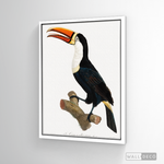 Cargar imagen en el visor de la galería, Cuadro Aves Tucan Colombiano 1