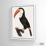 Cargar imagen en el visor de la galería, Cuadro Aves Tucan Colombiano 2
