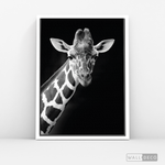 Cargar imagen en el visor de la galería, Cuadro Animales Jirafa B/N