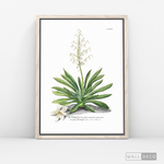 Cargar imagen en el visor de la galería, Cuadro Botánico Yucca