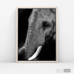 Cargar imagen en el visor de la galería, Cuadro Animales Elefante B/N