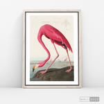 Cargar imagen en el visor de la galería, Cuadro Aves Flamenco Mayor