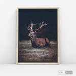 Cargar imagen en el visor de la galería, Cuadro Animales Ciervo Rojo (A)