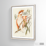 Cargar imagen en el visor de la galería, Cuadro Aves Cacatua Australiana