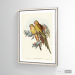 Cargar imagen en el visor de la galería, Cuadro Aves Perico Australiano