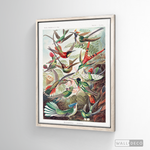 Cargar imagen en el visor de la galería, Cuadro Aves Colibríes