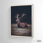 Cargar imagen en el visor de la galería, Cuadro Animales Ciervo Rojo (A)