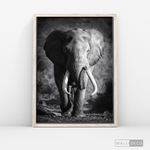 Cargar imagen en el visor de la galería, Cuadro Animales Elefante Real B/N