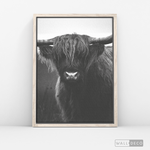 Cargar imagen en el visor de la galería, Cuadro Animales Bisonte