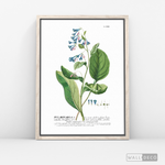 Cargar imagen en el visor de la galería, Cuadro Botánico Pulvonaria