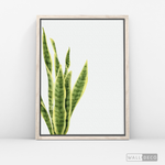 Cargar imagen en el visor de la galería, Cuadro Botánico SANSEVIERA - WalldecóStore