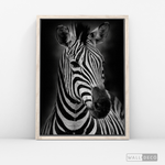 Cargar imagen en el visor de la galería, Cuadro Animales Cebra B/N