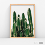 Cargar imagen en el visor de la galería, Cuadro Botánico CACTUS