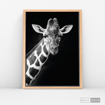 Cargar imagen en el visor de la galería, Cuadro Animales Jirafa B/N