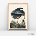 Cargar imagen en el visor de la galería, Cuadro Aves Garza