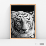 Cargar imagen en el visor de la galería, Cuadro Animales Tigre Blanco B/N