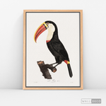 Cargar imagen en el visor de la galería, Cuadro Aves Tucan Colombiano 2