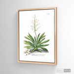Cargar imagen en el visor de la galería, Cuadro Botánico Yucca